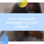 How I navigated challenges in public projects