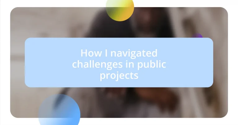 How I navigated challenges in public projects