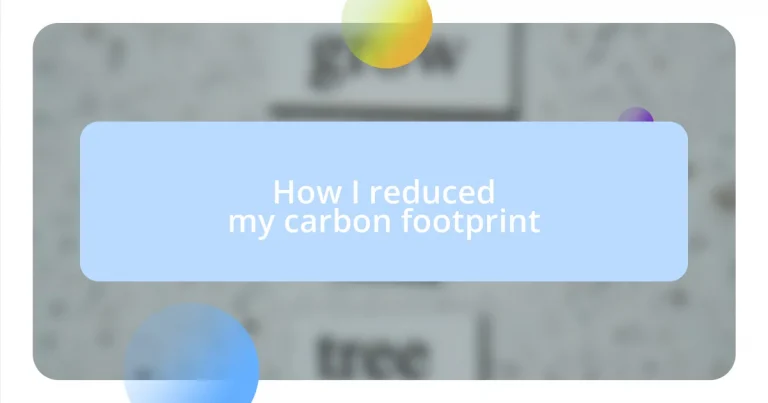 How I reduced my carbon footprint