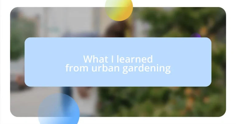 What I learned from urban gardening