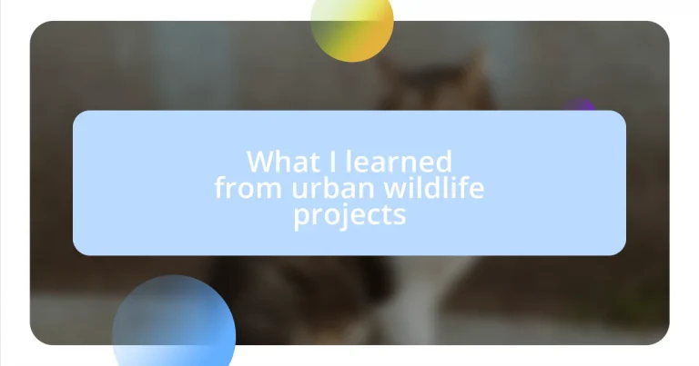 What I learned from urban wildlife projects